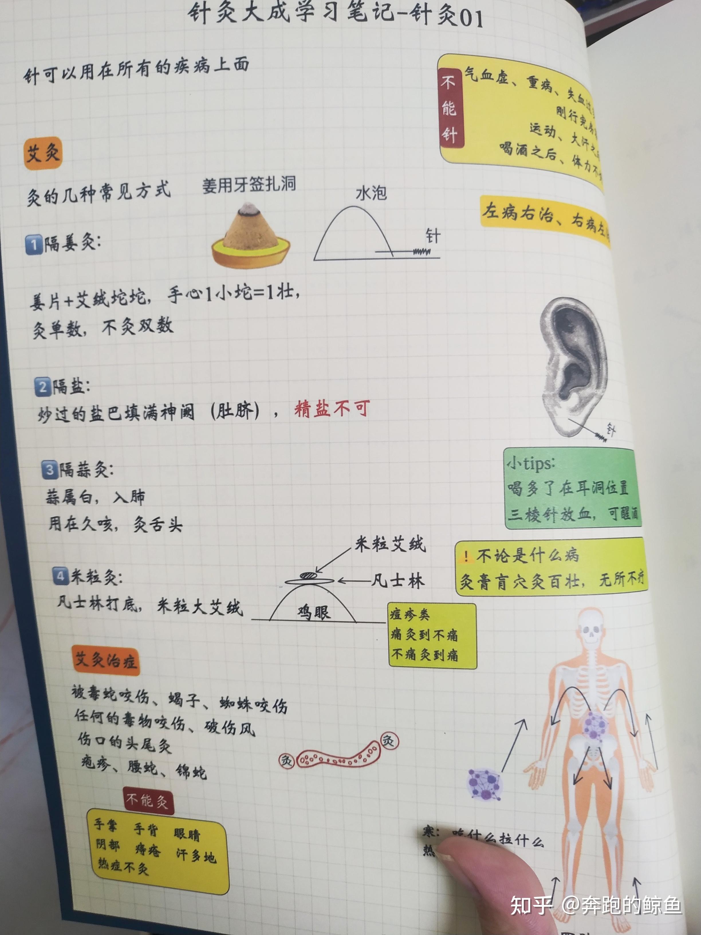 祝余中医日记2024正版笔记书籍 - 知乎