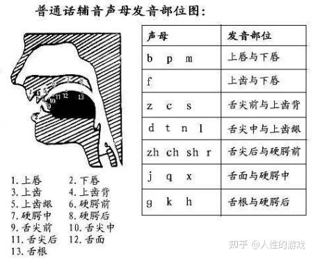 声母发音口型及配图图片