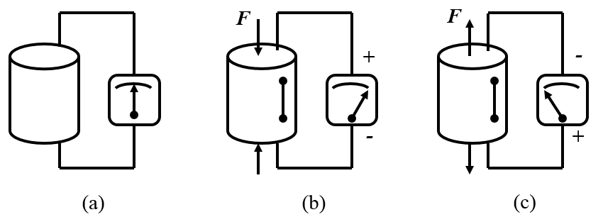 压电效应与压电方程组 