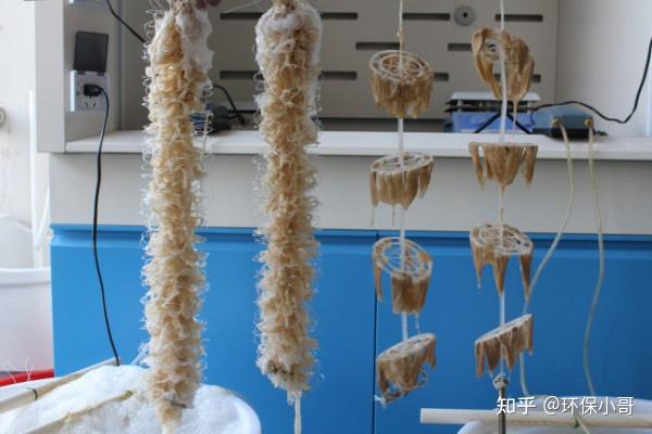 甘度复合菌是一种兼性菌,主要成分是硝化细菌属,反硝化细菌属,芽孢