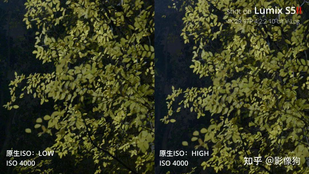 松下S5M2自动对焦变好了？宽容度、高感、画质全面测评 - 知乎