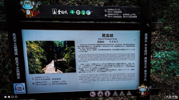 一人一唐,自驾洛南金丝峡,瞰五彩斑斓深秋神瀑峡沟