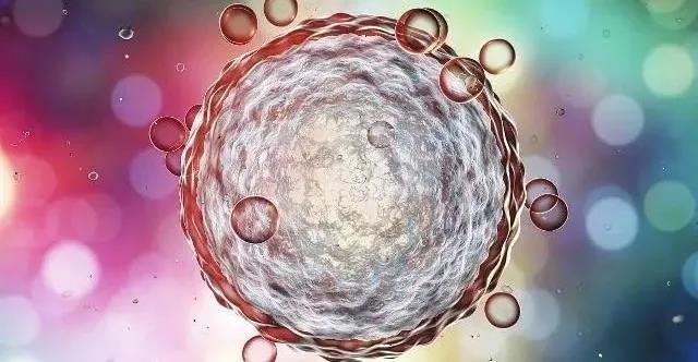 v2-8c91e25931b46824f3987d03620a1966_1440w.jpg?source=172ae18b