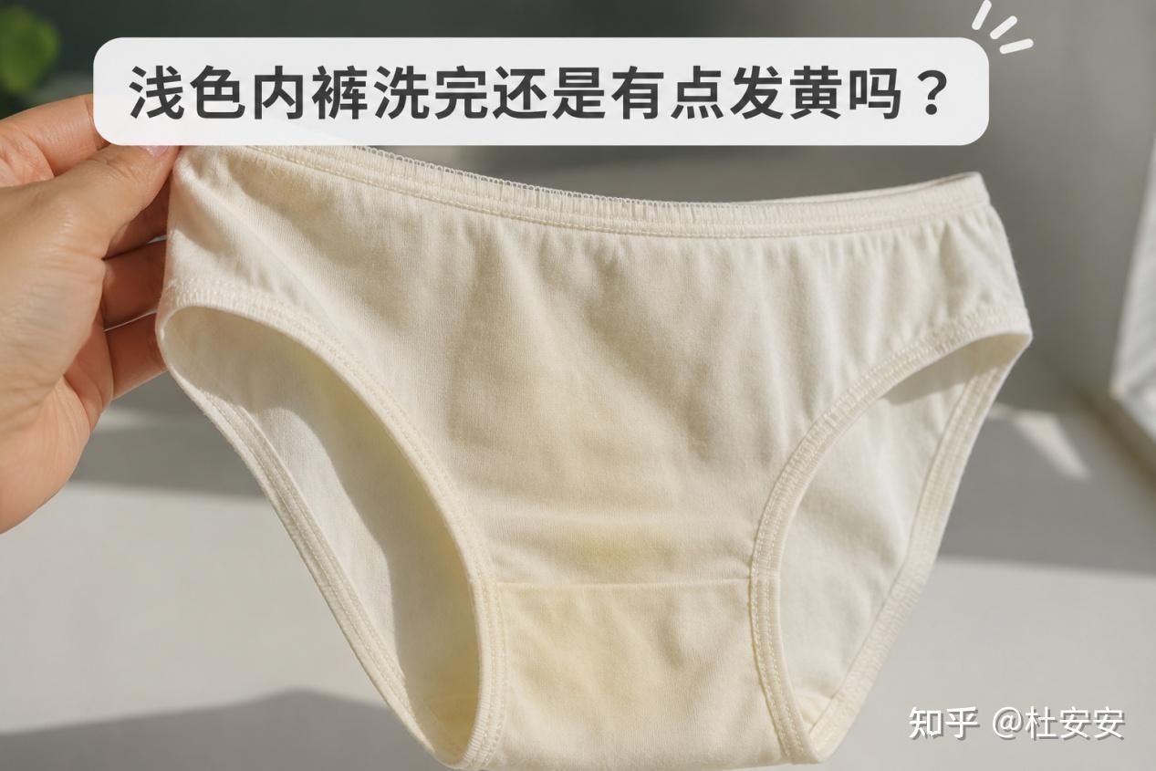 【2026年内衣洗衣机全推荐】内衣洗衣机是干什么的?内衣清洗机哪个好?最实用的内衣洗衣机有哪些品牌呢?美的、希亦、海尔、石头等迷你洗衣机超全对比攻略!内衣洗衣机第一名公开!推荐合集选购必看~