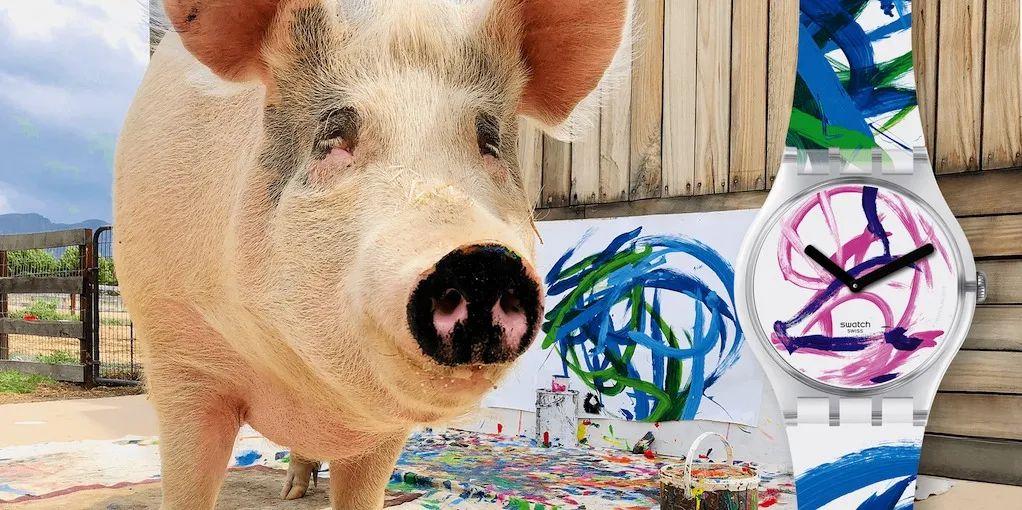 一头叫猪加索的猪,画了一幅画,卖了近17万人民币.... - 知乎
