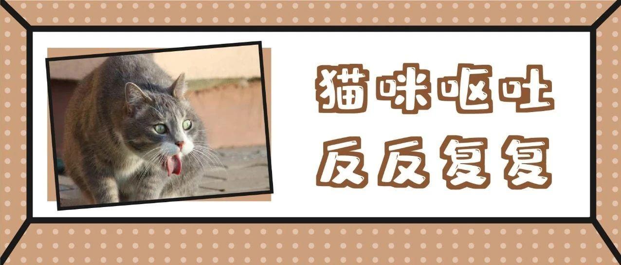 猫咪慢性呕吐反反复复?IBD能否被彻底治愈? - 知乎