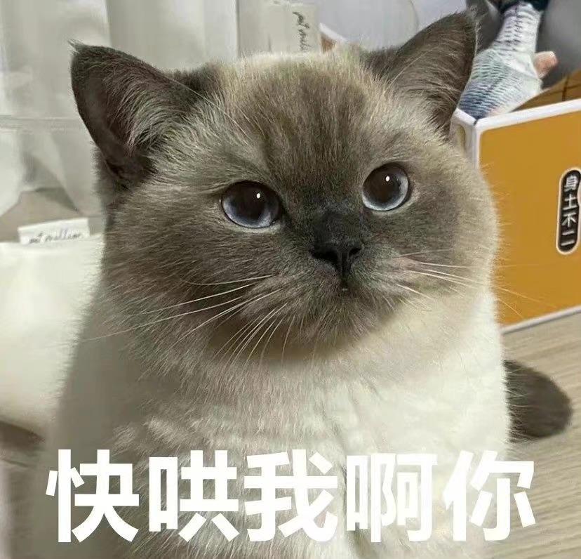 对前任文案沙雕,对于前任的文案