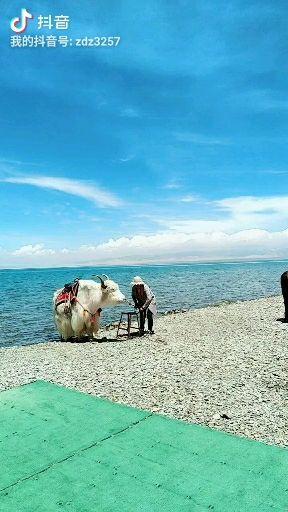 旅游自驾游还是跟团 v2-8ce3bef2823bb2c534ab48eb2d0909bd.jpg