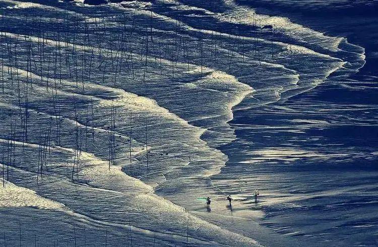 惠安女赶海浔埔女簪花人像霞浦滩涂三明白凤凰拍鸟摄影团