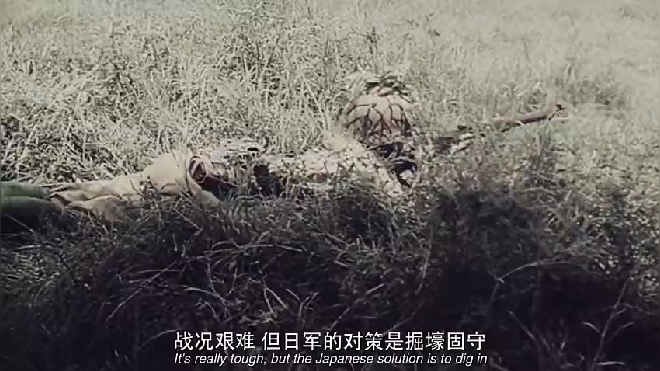 点击可播放视频