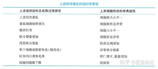 口腔考研 口腔组织病理学新教材考点 知乎