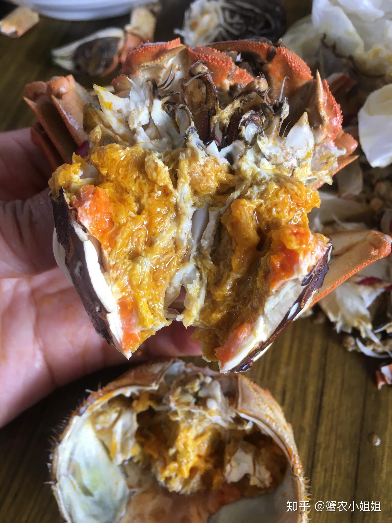 兴化红膏大闸蟹