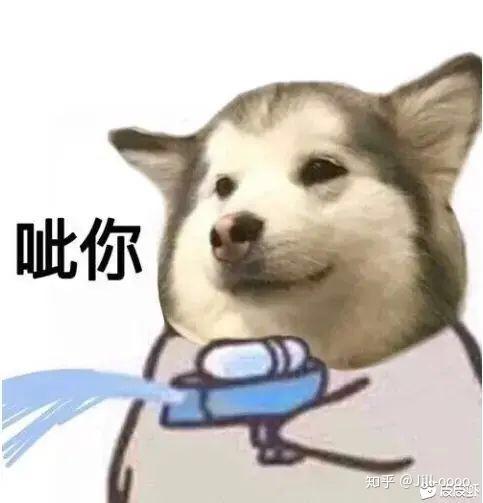 v2-8d071c8a7cb49872c30fa825dda5d051_r.jpg