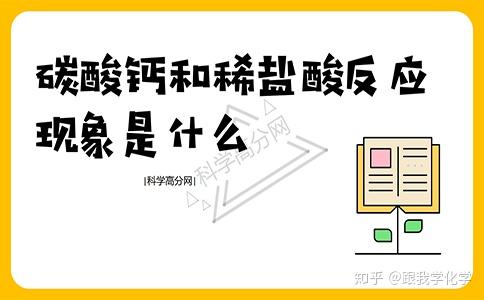 碳酸钙和稀盐酸反应现象是什么 知乎