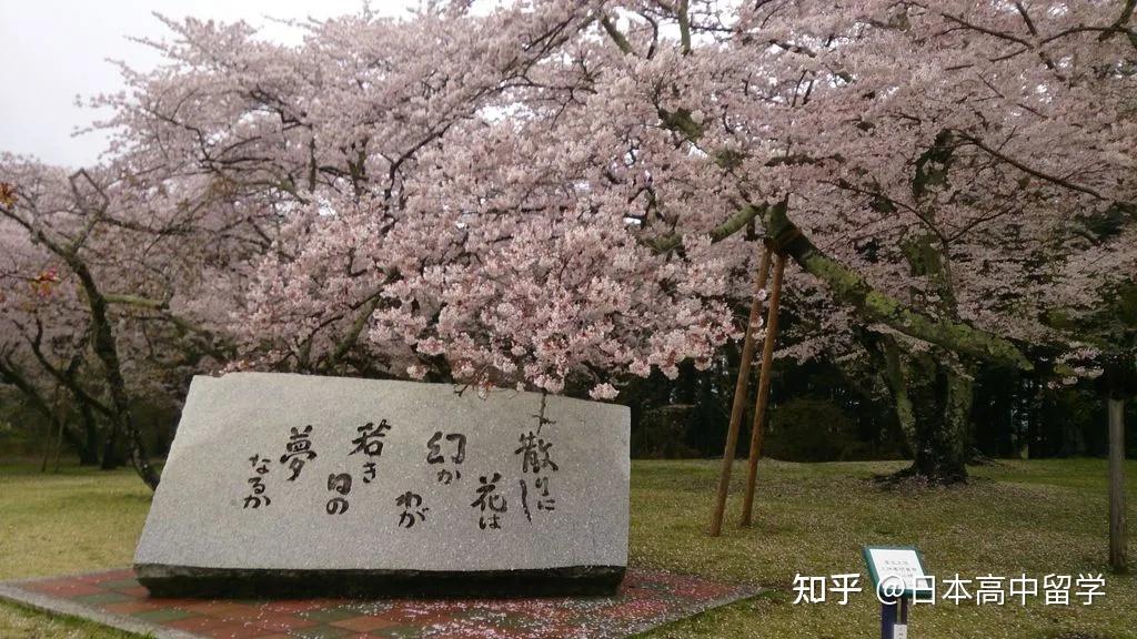 三神峰公園是仙台的招牌賞櫻場所,其特色是櫻花樹種類繁多,滿開期各自