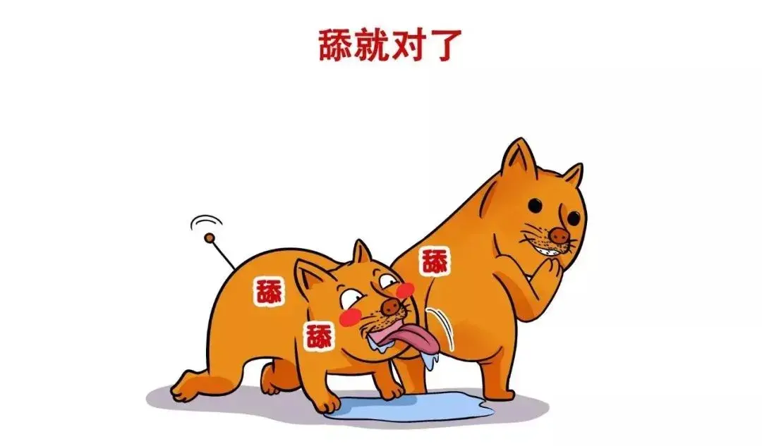 压轴的总要放在最后:想要做成功的职场"舔狗",你的