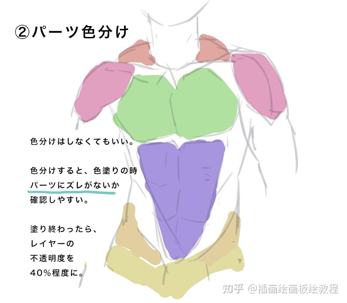 繪畫教程漫畫人物肌肉怎麼畫教你動漫人物腹肌畫法技巧講解