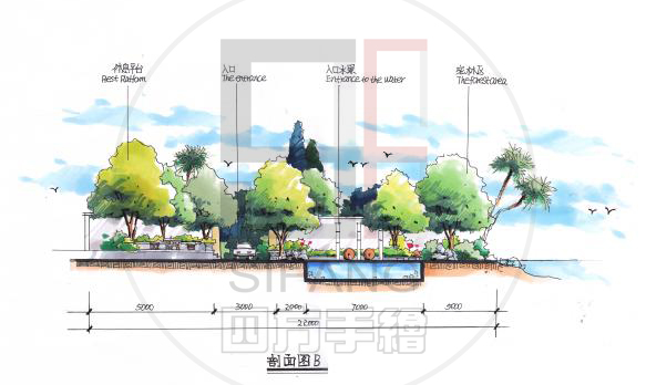 植物群落效果图手绘图片