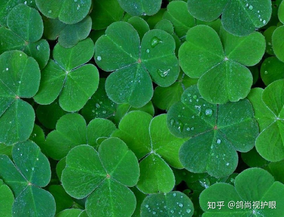 眺望远处放松眼j,防止近视,与大自然多接触,青山绿野有益于眼睛的健康