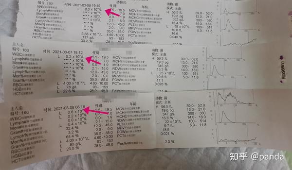 猫瘟不是绝症 不抛弃不放弃 知乎