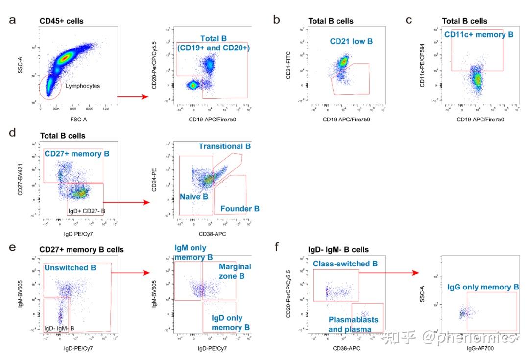 Phenomics|复旦大学钱峰团队发表文章：标准化多参数流式细胞术深度解析人体免疫细胞表型的新方案 - 知乎