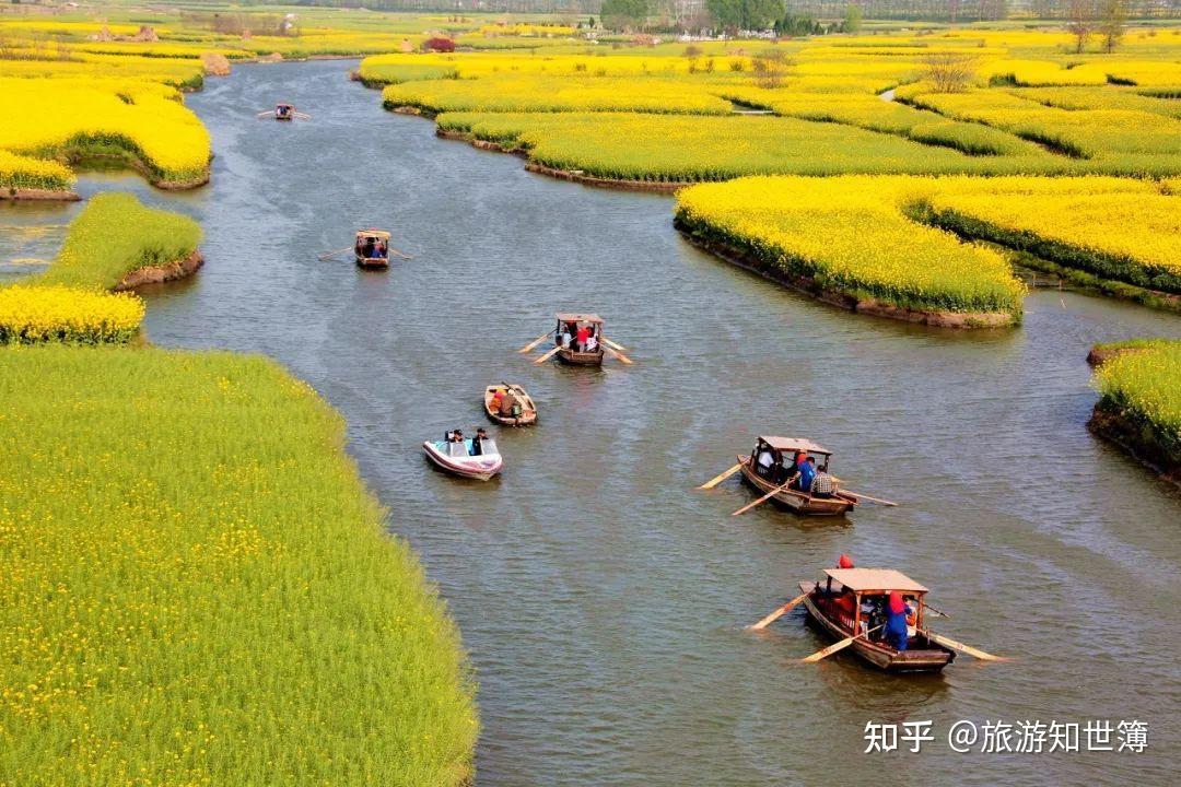 自驾3小时内直达!江浙沪15个冷门宝藏目的地攻略!赏花踏青,游山玩水,超适合周末短途游! - 知乎