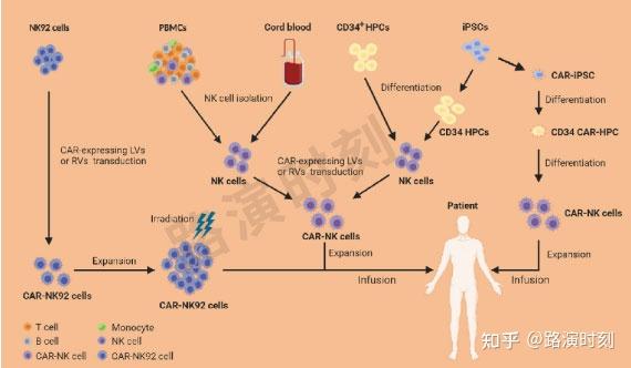 car-nk製備流程04car-nk細胞免疫治療的研究現狀(1)血液瘤cd19-car-nk