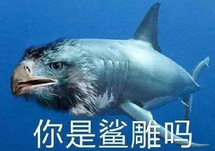 继光头王八后,这可能是今年meme圈最“鲨雕”的崽 - 知乎