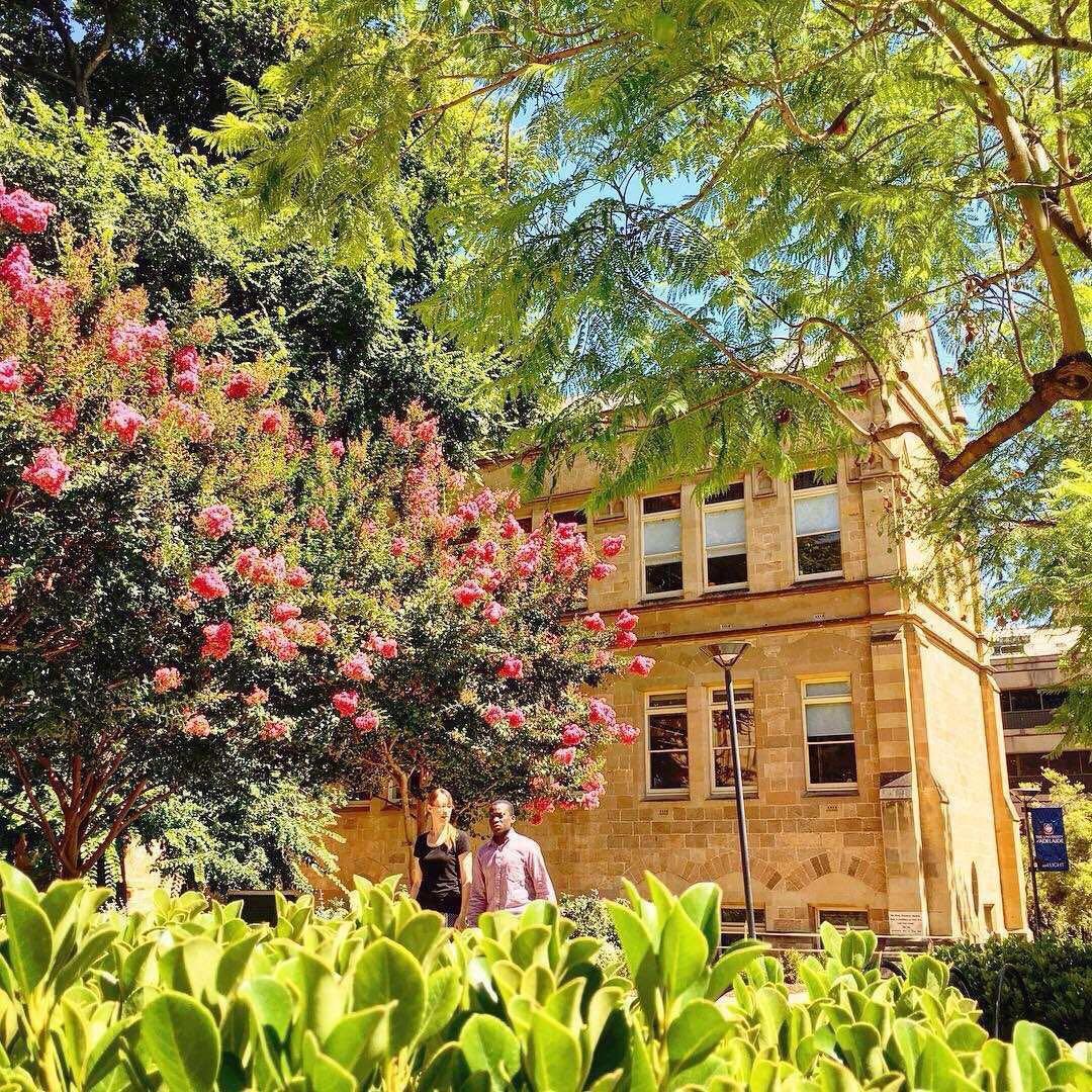 悉尼科技大学预科详细介绍--澳大利亚留学