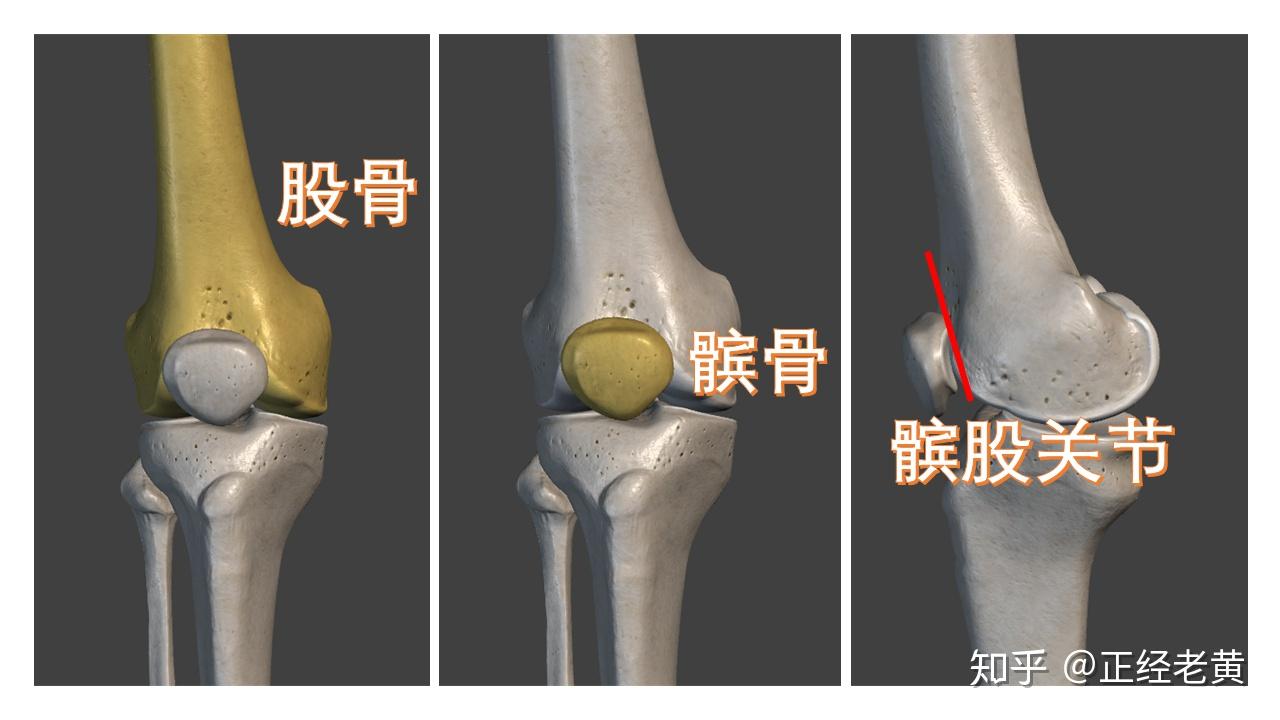 下肢康复——第四期 髌股疼痛 or 膝前痛