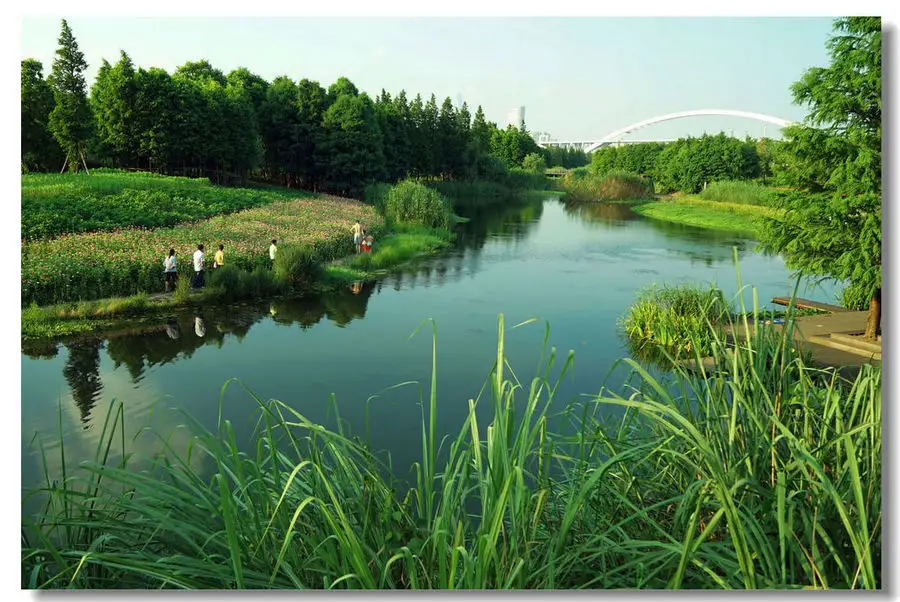 上海世博后滩湿地公园规划设计案例解析 