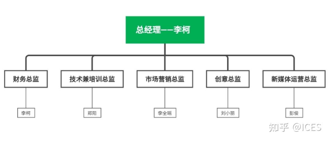 团队组织架构星状图片