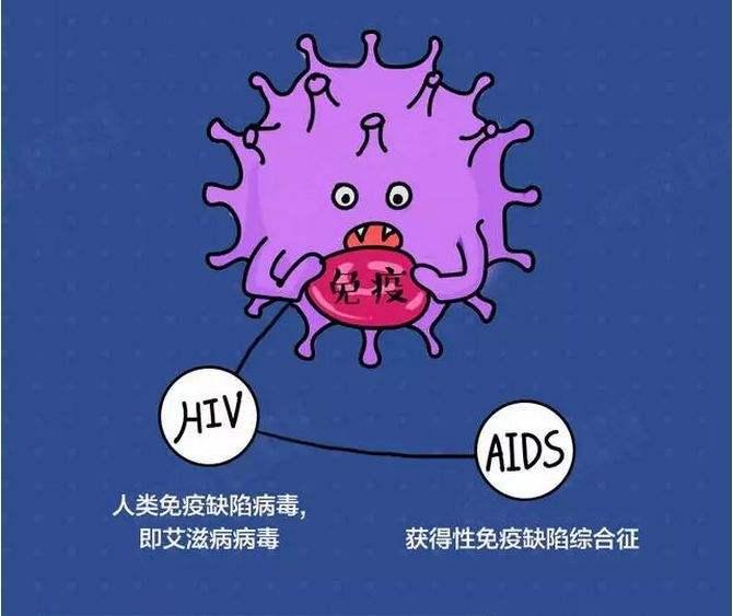 hiv感染≠艾滋病