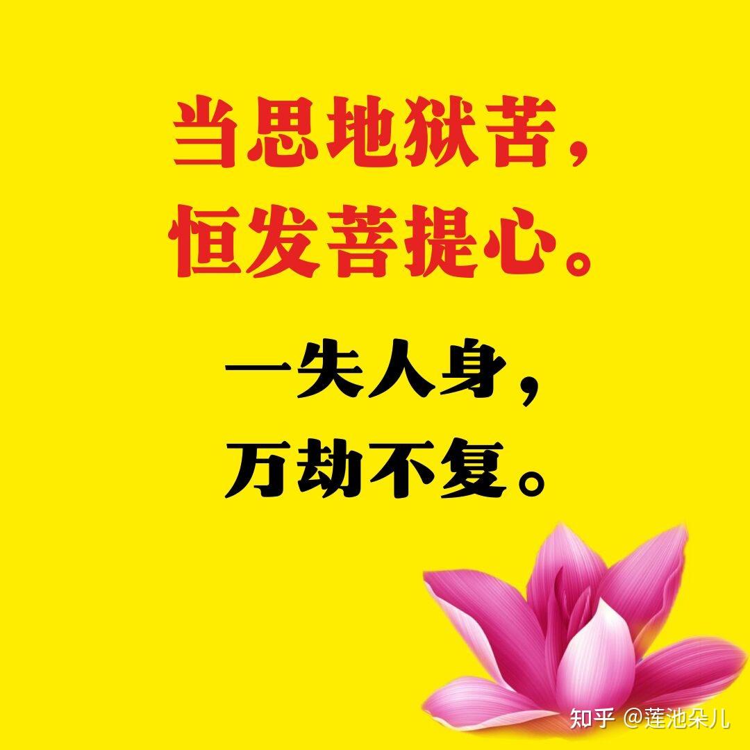 断恶行善慧命长.慈悲行善观无常,恰如宝珠宅中藏.