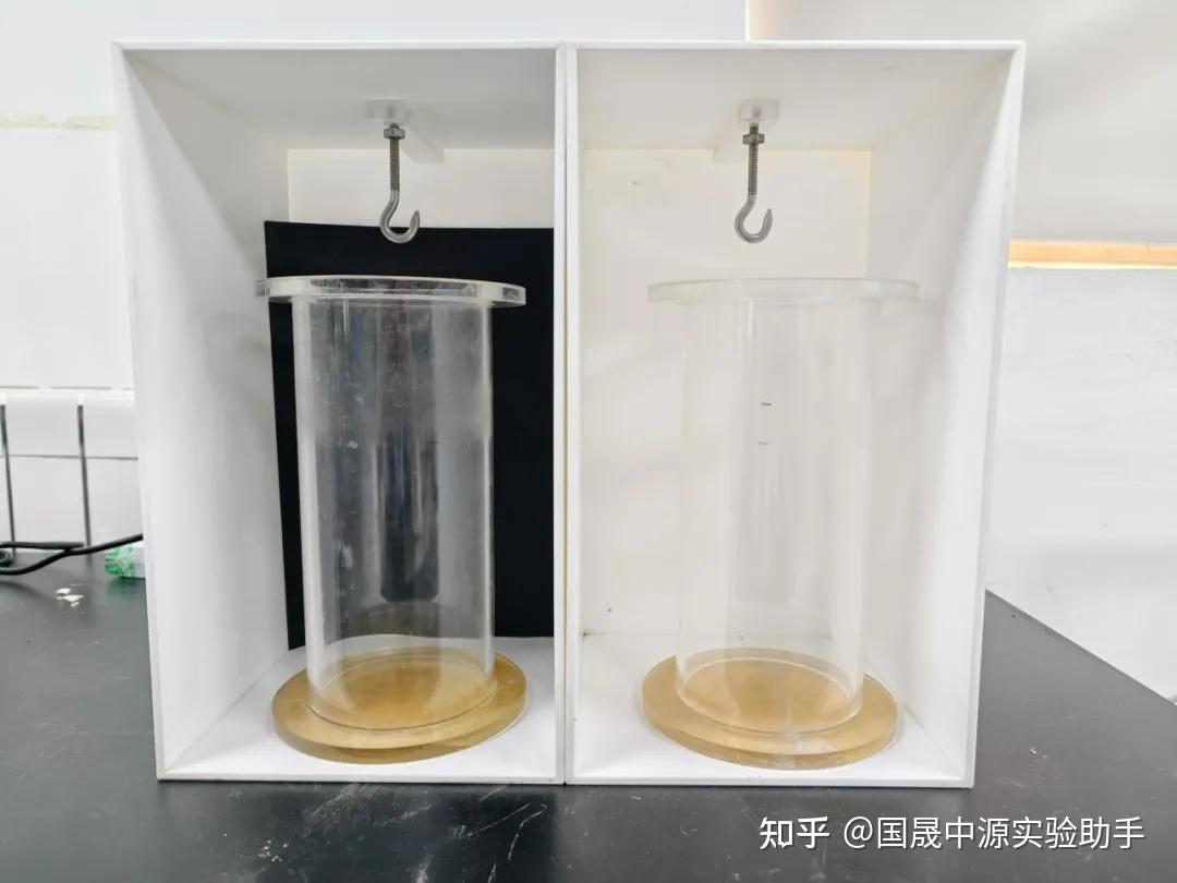 动物实验丨强迫游泳实验(FST) - 知乎