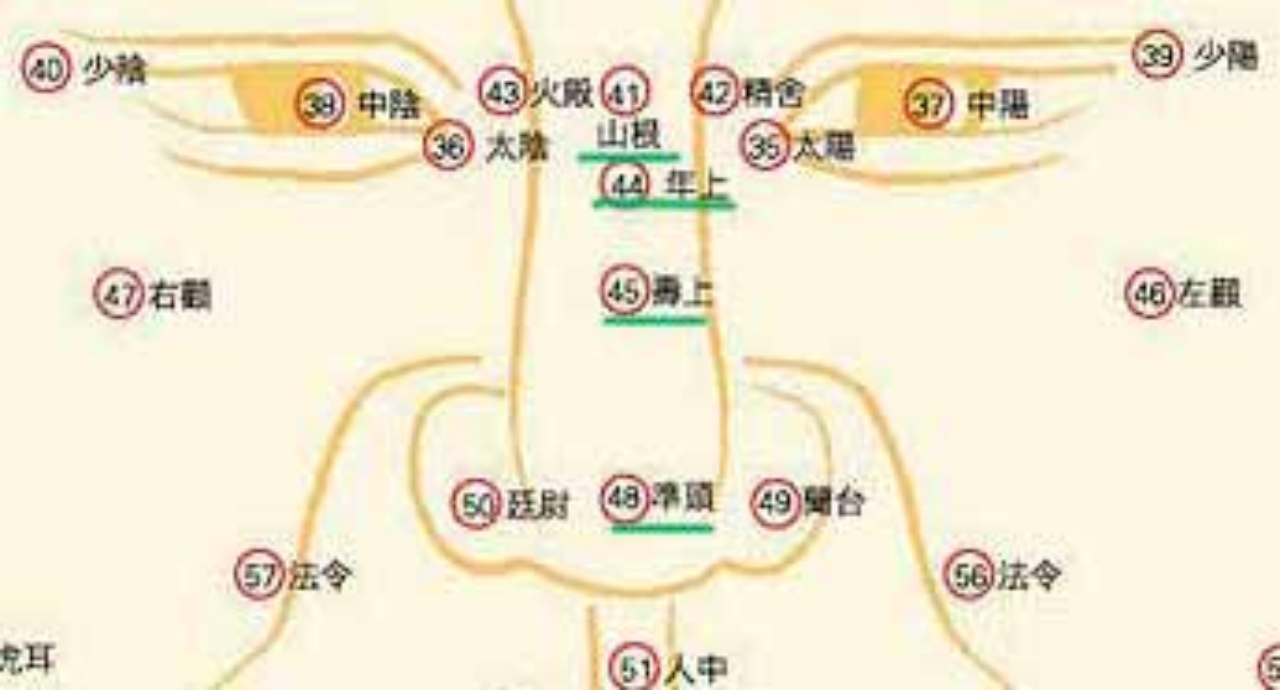 面相入门--五官细谈之“鼻” - 知乎