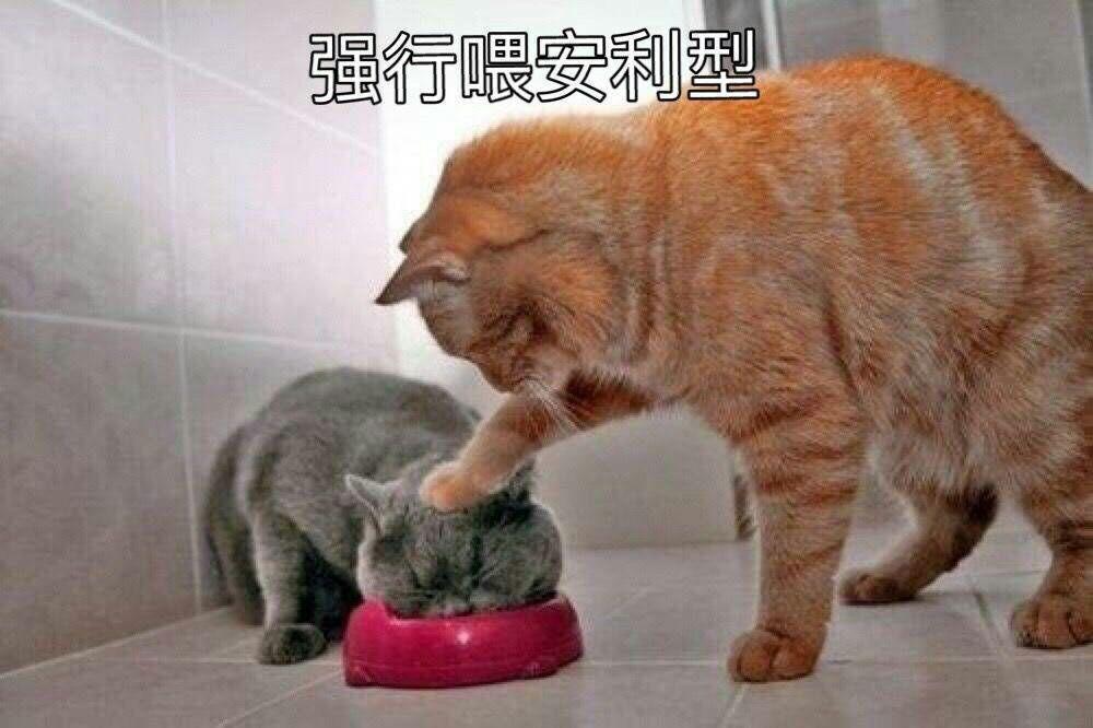 你有哪些关于猫狗的表情包