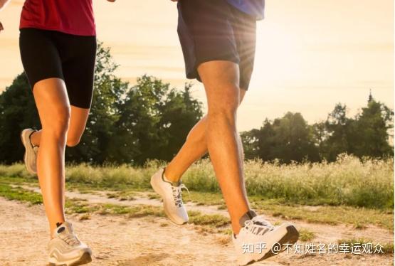 不吃肉能降血脂吗