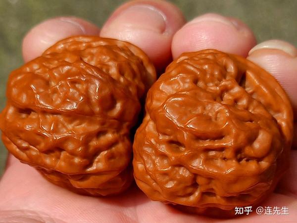 文玩核桃什么品种最好最贵?文玩核桃怎样盘玩? - 知乎