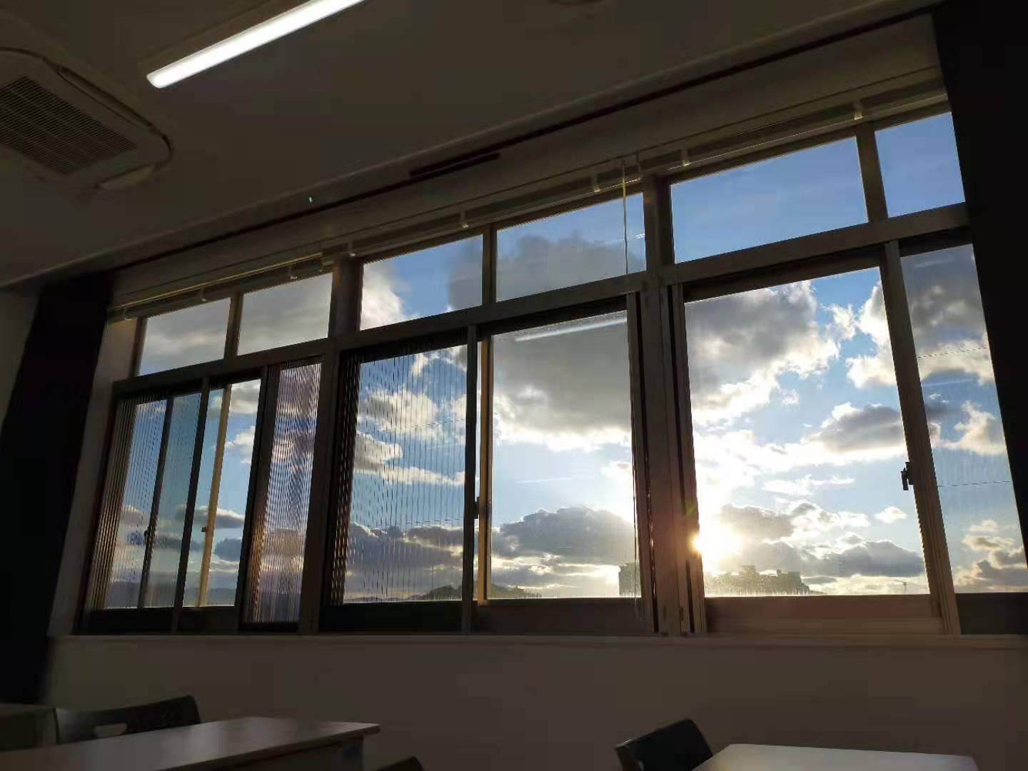 东京都立大学 东京都立大学
