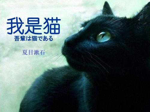 猫眼窥人 夏目漱石 我是猫 书评 知乎 猫眼窥人 夏目漱石 我是猫 书评 知乎