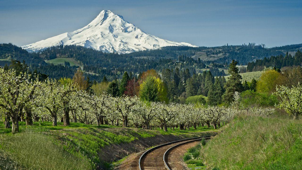 有什么干净清爽的壁纸