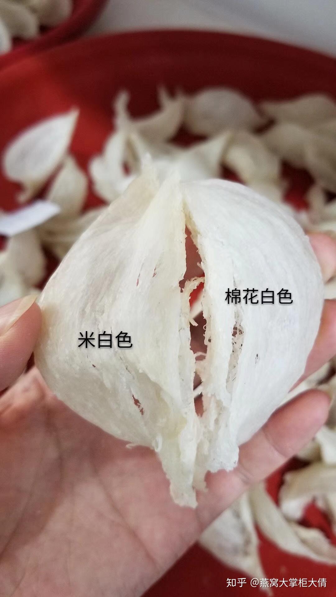 燕窝鉴别:如何一眼,辨出漂白燕窝 ? - 知乎