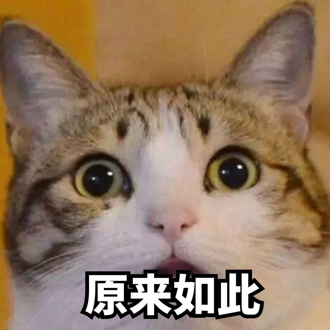 v2-8dd7d918fb74bb4cf602c9e2c19053ad_r.jpg