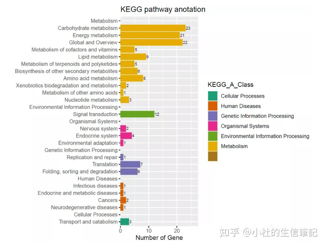 gokegg富集柱状图转载