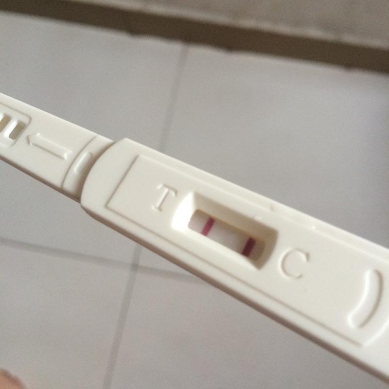 受精卵成功着床后 身体会出现这3个信号 全占的恭喜你怀孕了 知乎 受精卵成功着床后 身体会出现这3个信号 全占的恭喜你怀孕了 知乎