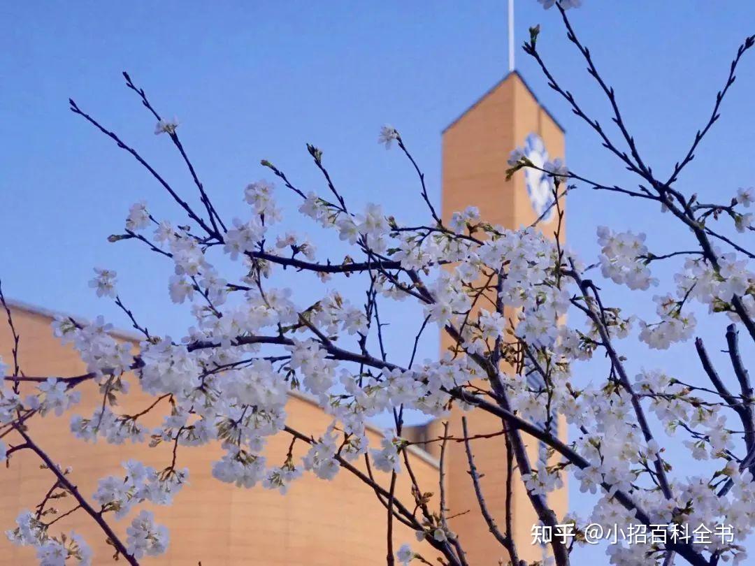 一切"人生初见",一切"如果当时",一,杭州高级中学下面跟随小招的步伐