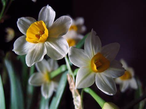 v2-8df8d70bf96db469093c0bafceb2d51f_1200x500.jpg