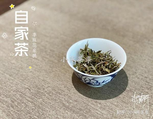 老茶客分享的4个茶界冷知识 学茶有章可循 新手轻松进阶成老饕 知乎