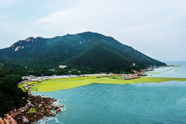 最新海藻大全(三)你认识它们吗? 知乎